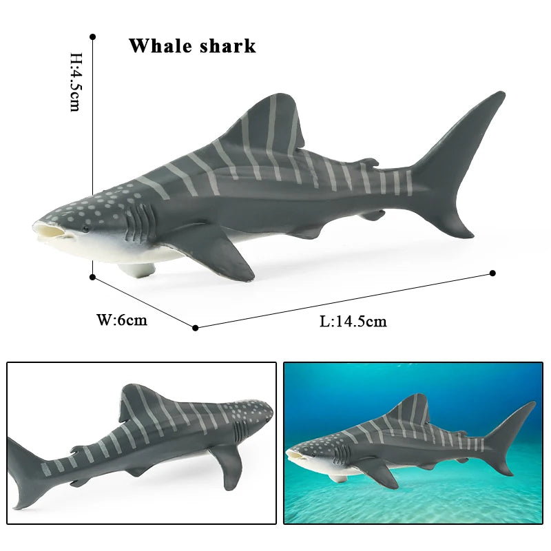 Oenux Ocean Life Animals Whale Dolphin Basking Shark Narwhal Tropical Fish Model Action Figures PVC Education Toy Kids Gift